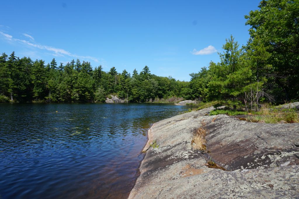 23836 Georgian Bay Shore Honey Harbour image 0