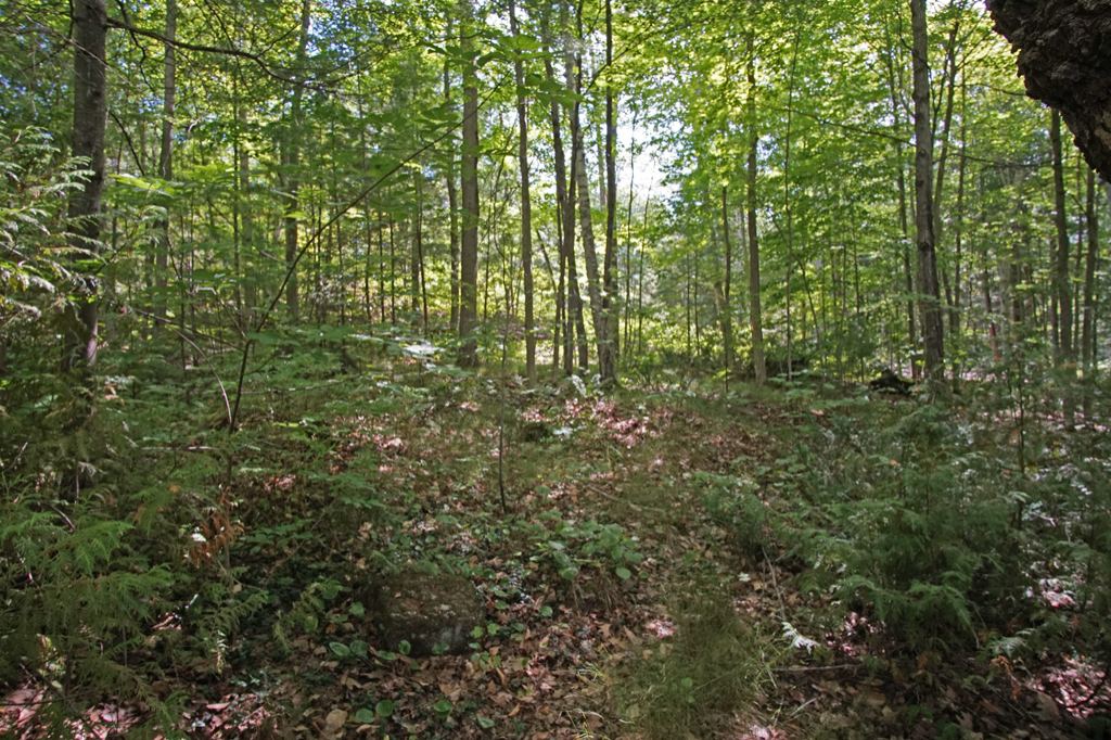 734 Little Beausoleil Island Honey Harbour Georgian Bay image 12