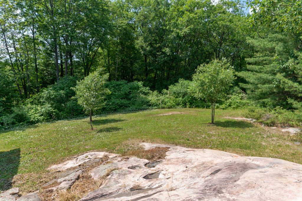 2974 Little Beausoleil Island Honey Harbour Georgian Bay image 16