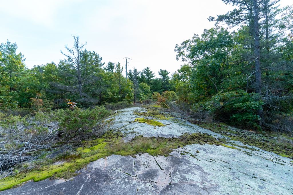 1276 Deer Island Honey Harbour Georgian Bay Muskoka image 20