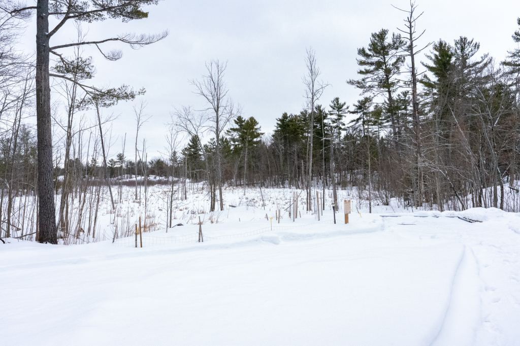 1649 Honey Harbour Road Georgian Bay Muskoka image 28