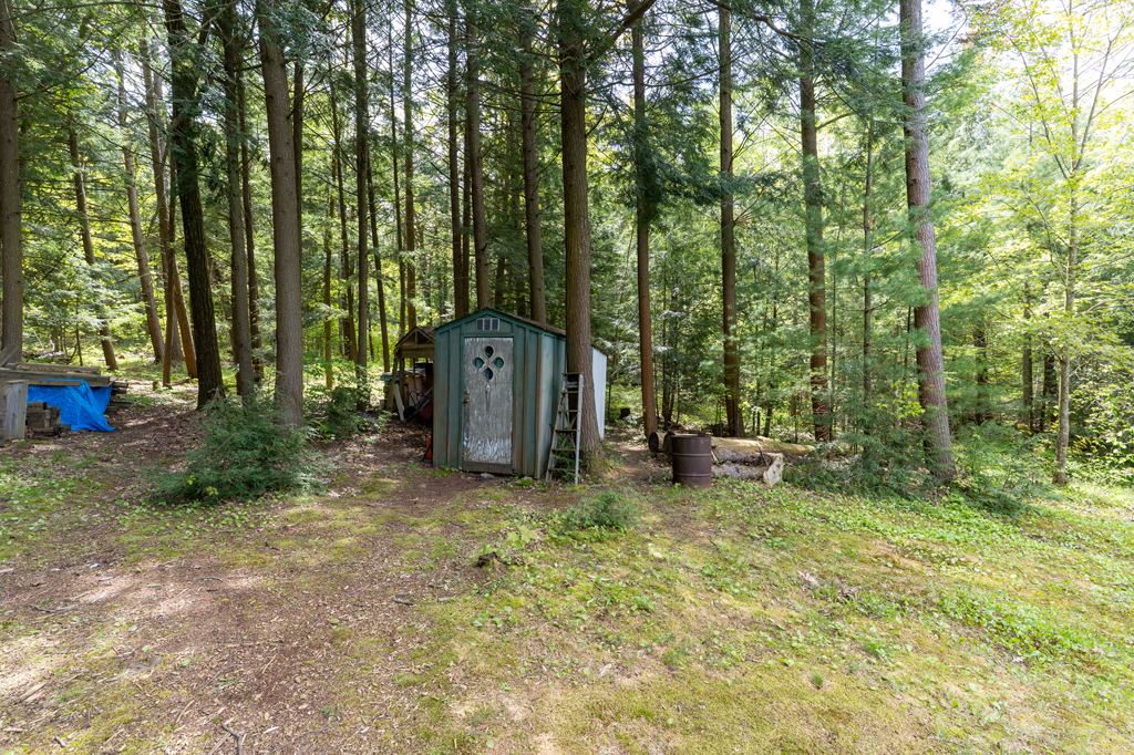 15052 Georgian Bay Shore Honey Harbour Muskoka image 28