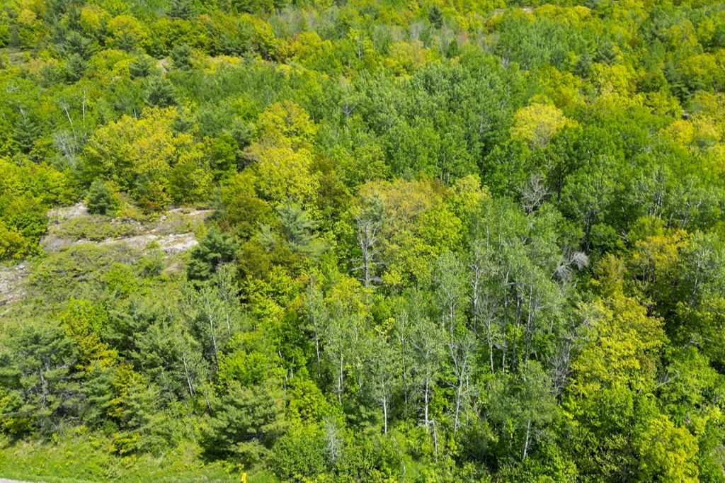 408 South Bay Road Port Severn Georgian Bay Muskoka image 3